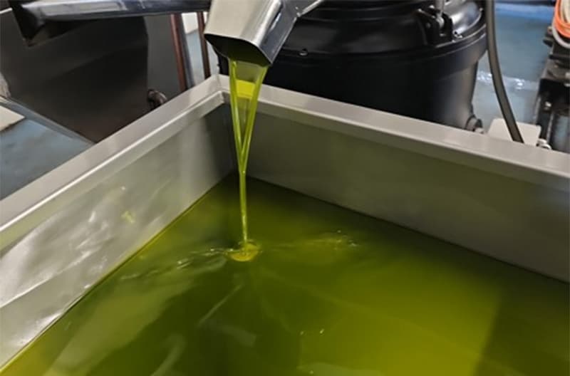 images/1700033279544Colombia México Perú.jpg